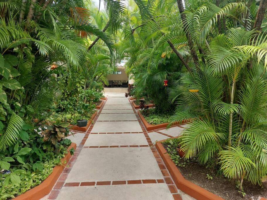 #3 Villa Cozumel